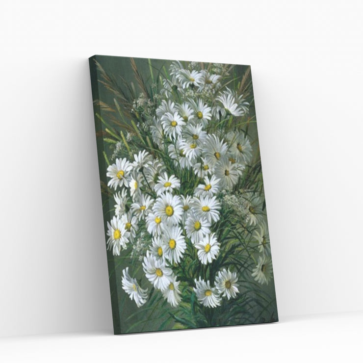 Paint By Numbers for adults- DAISIES