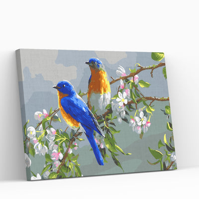 Paint by numbers with free frame and delivery - BLUE FLYCATCHERS IN SPRING