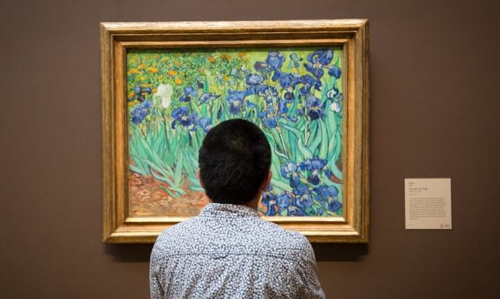 IRISES - Vincent Van Gogh