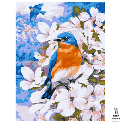bluebird paint by numbers kit